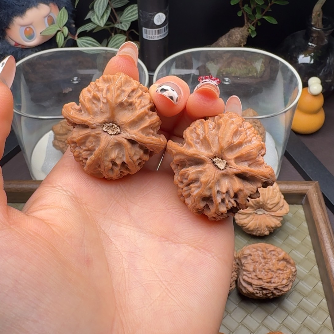 核桃全品苹果园40