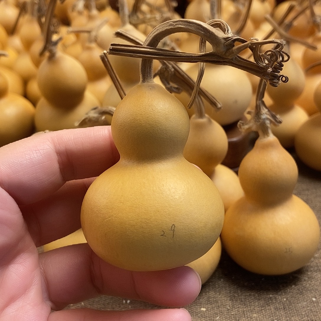 文玩葫芦 完美主义者 慎拍29