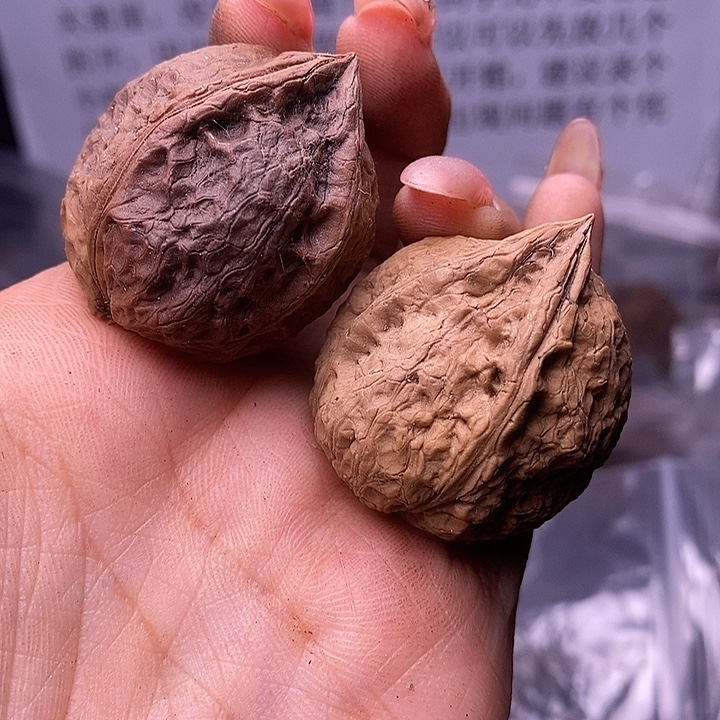 核桃云南野生铁核桃148号32mm