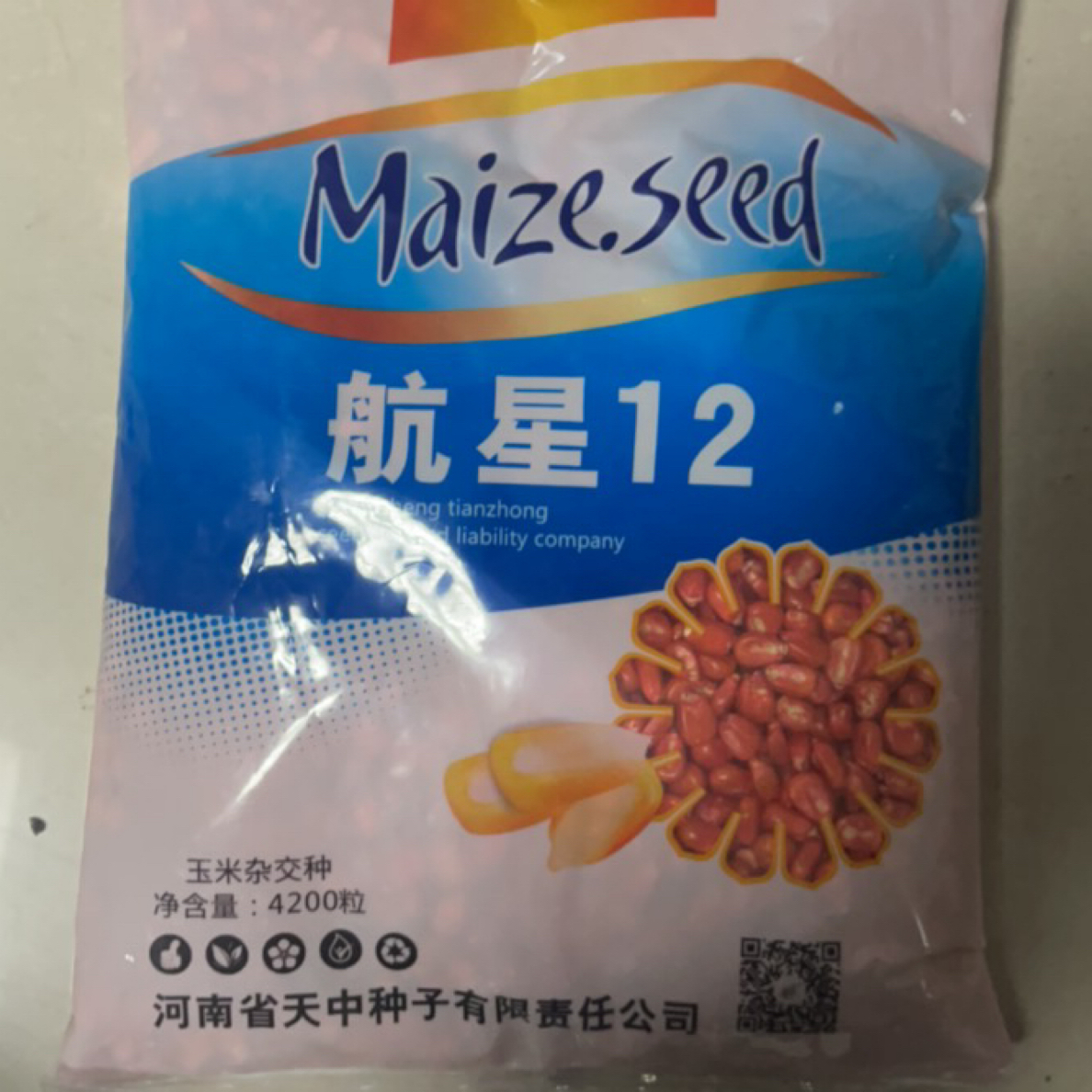 白轴红芯抗锈高产玉米品种航星12