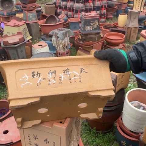红陶紫砂花盆盆景盆栽