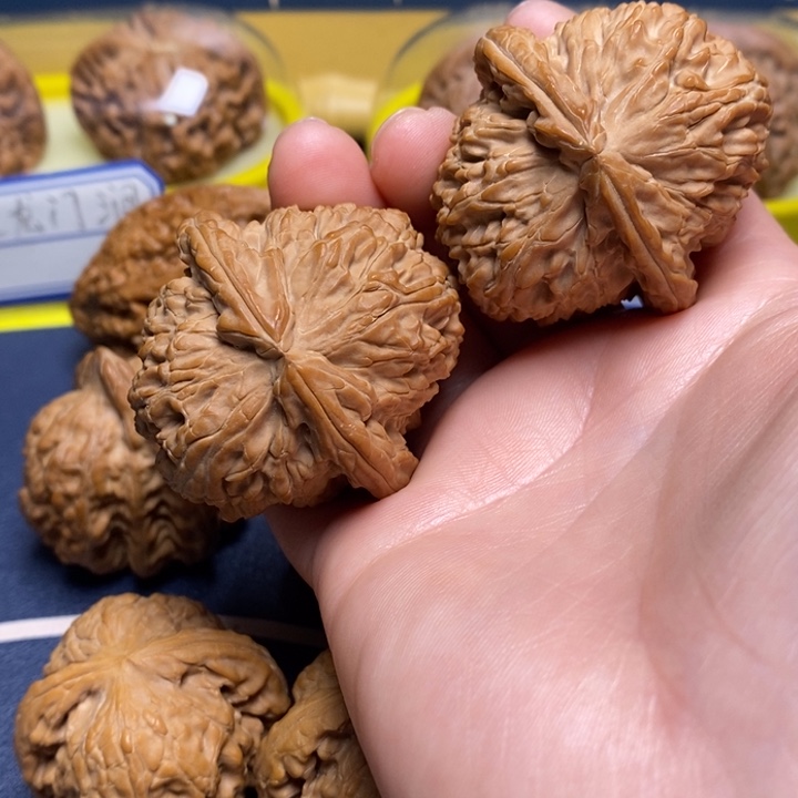 文玩核桃吊坠菲****选白狮子