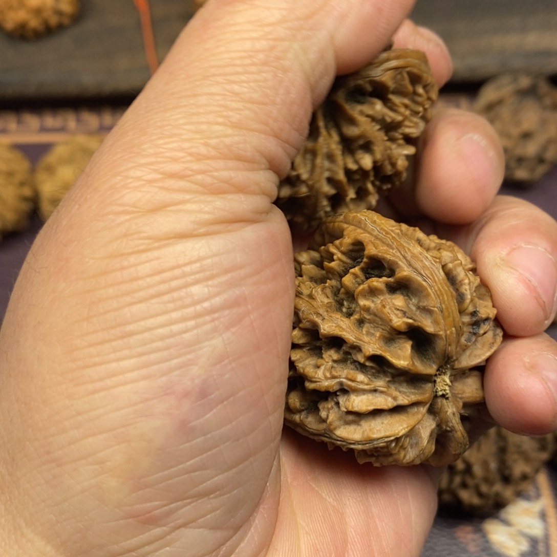 我****代秦岭南侧和东北北部部分的