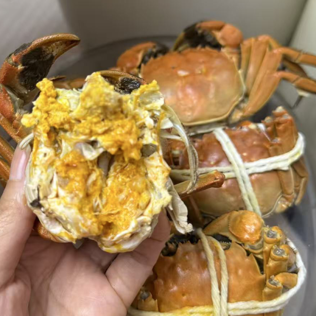 母螃蟹（2.0-2.2）两一只