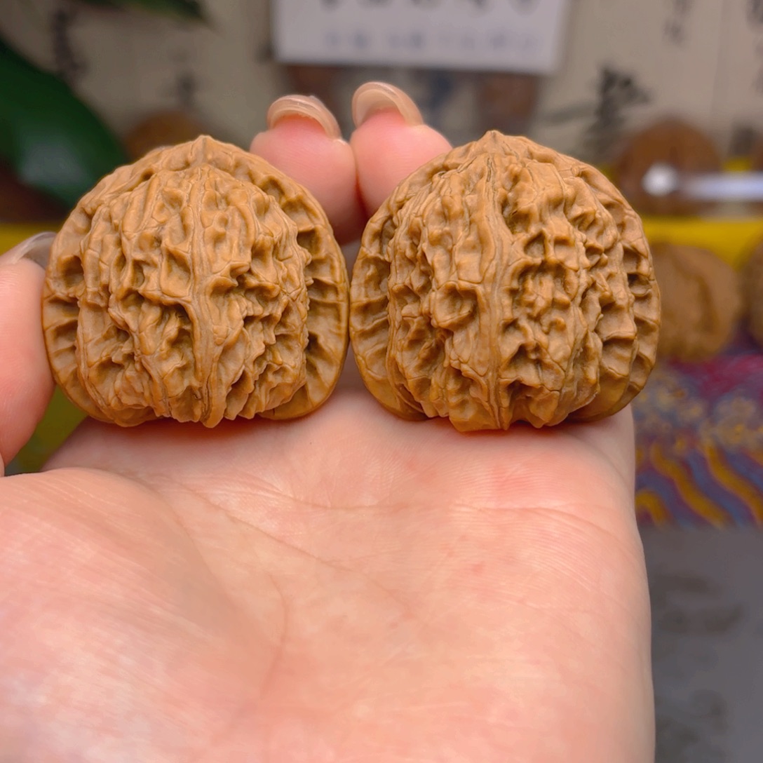 白狮子头三十九尺