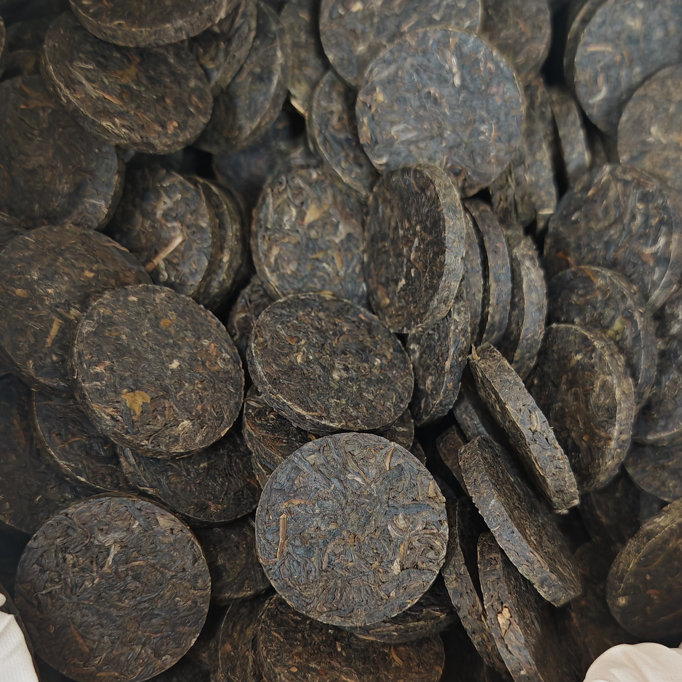 安化黑茶春季天尖原料2024年薄片 500 克起(过秤卖)