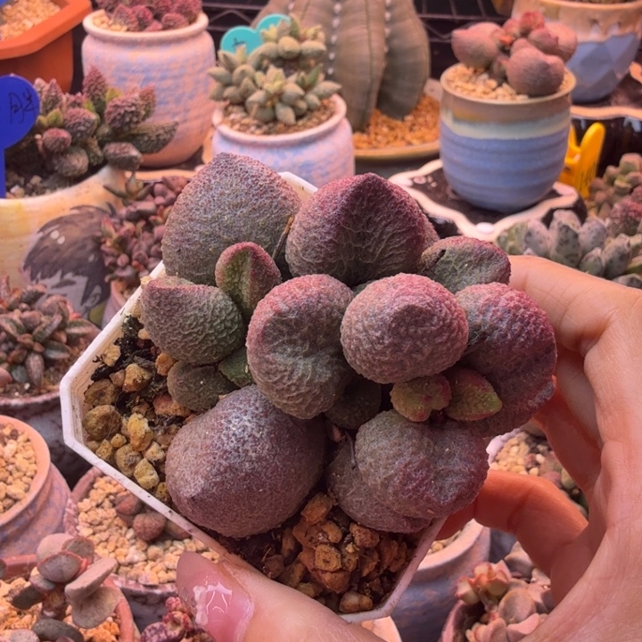 下***你你是个很优秀非常棒超级有