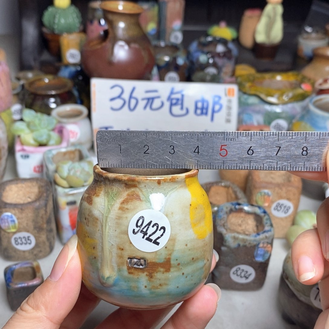 拍5送一个小礼物