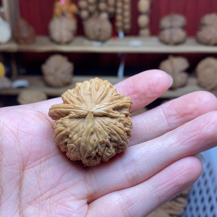 年***贝把件文玩核桃尺寸