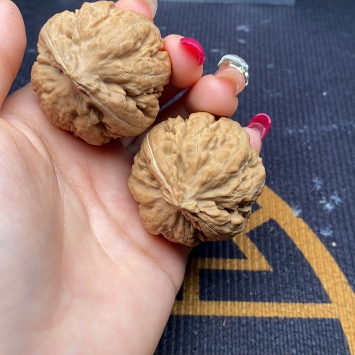 晨***文玩核桃把件霸王龙