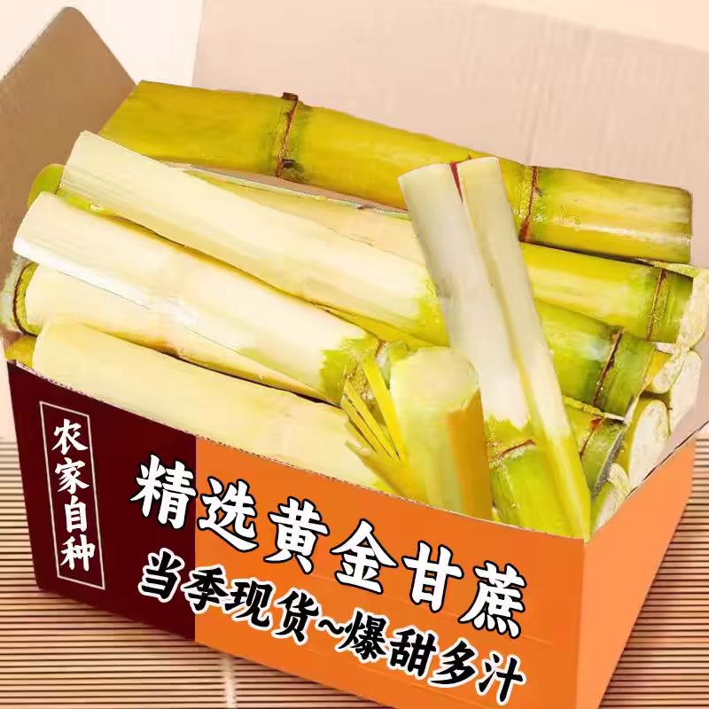 黄金甘蔗新鲜水果9斤当季特产绿皮黄皮黑皮果蔗手撕包邮