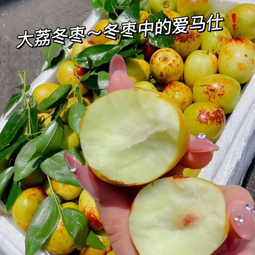 陕西大荔冬枣1份陕西省