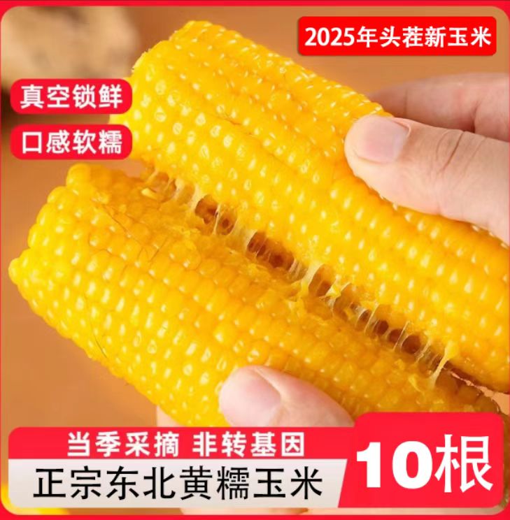【10根大果6斤】东北黄糯玉米甜糯软香甜～活动倒计时1天（试吃3根）