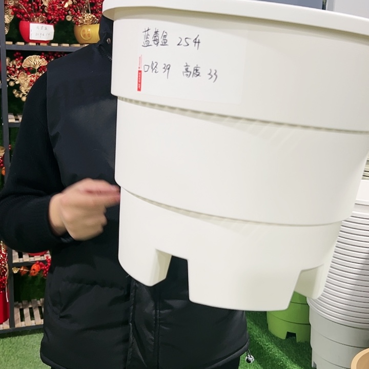 正品蓝莓口39高33白色3只无托