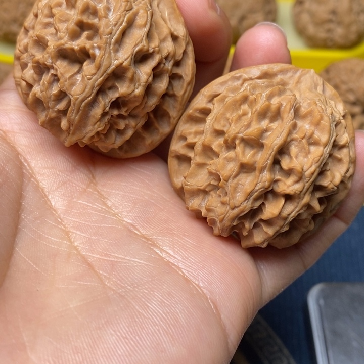 A***M文玩核桃苹果园42