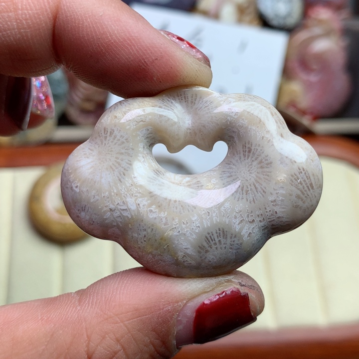 硅化珊瑚（珊瑚玉）颈饰未镶嵌