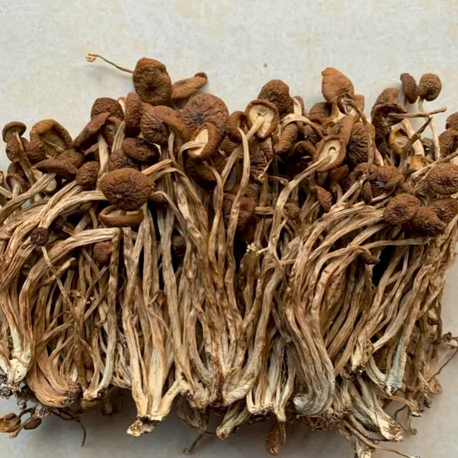 农家茶树菇纯干货新菇菜类菌菇干锅煲汤