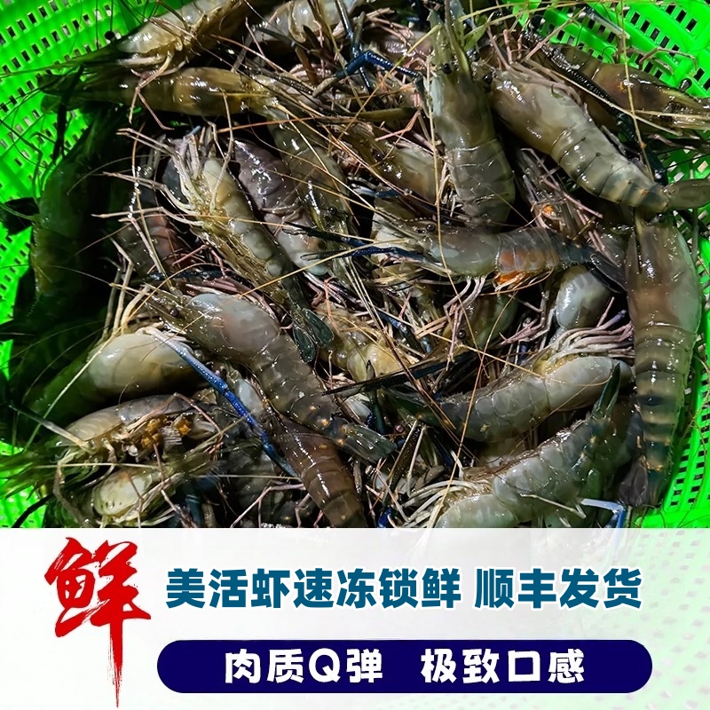 罗氏沼虾4斤20头左右/斤鲜活速冻顺丰冷链发货