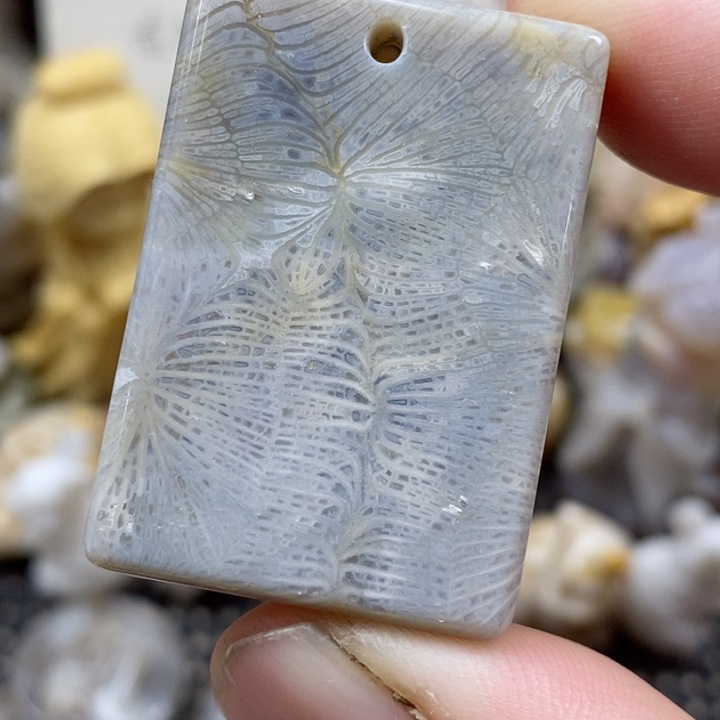 颈饰未镶嵌硅化珊瑚（珊瑚玉）小