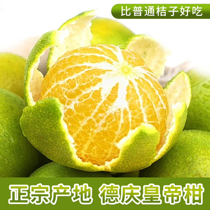 DQGG/德庆贡柑正宗德庆皇帝柑贡柑桔子新鲜水果礼品装【顺丰包邮】