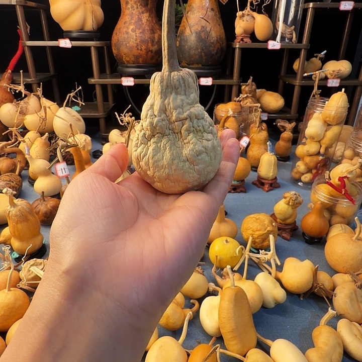 P***…大叶紫檀（黑酸枝木类）