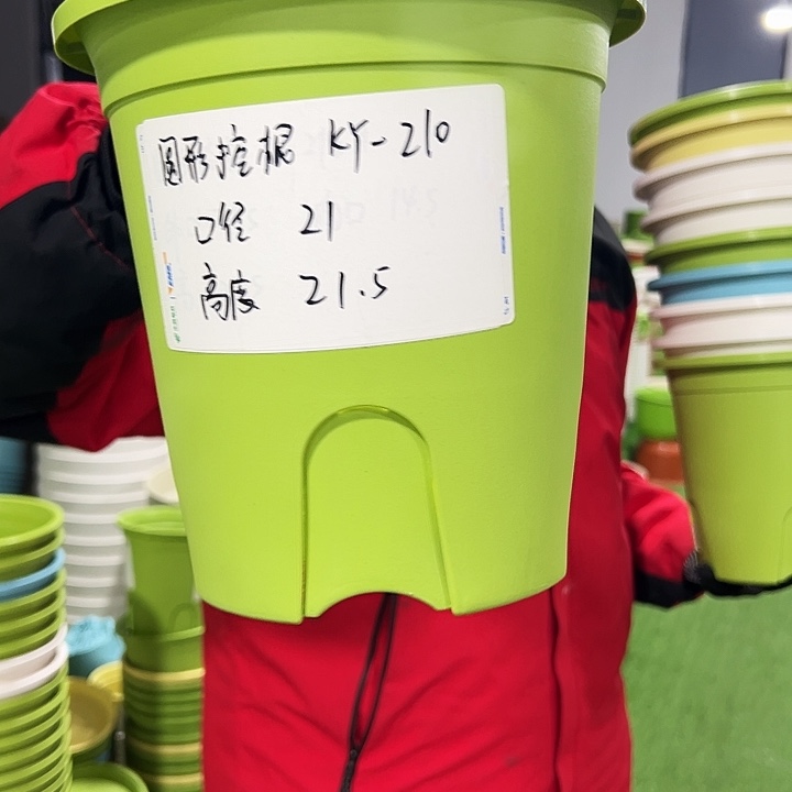 正品圆控口21高21果绿色8只无托