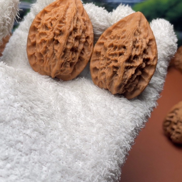 ༺***༻秦核等人在此处进行了一