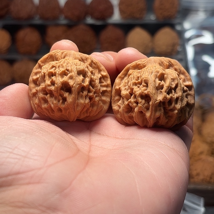 文玩核桃天地狮子头41-495