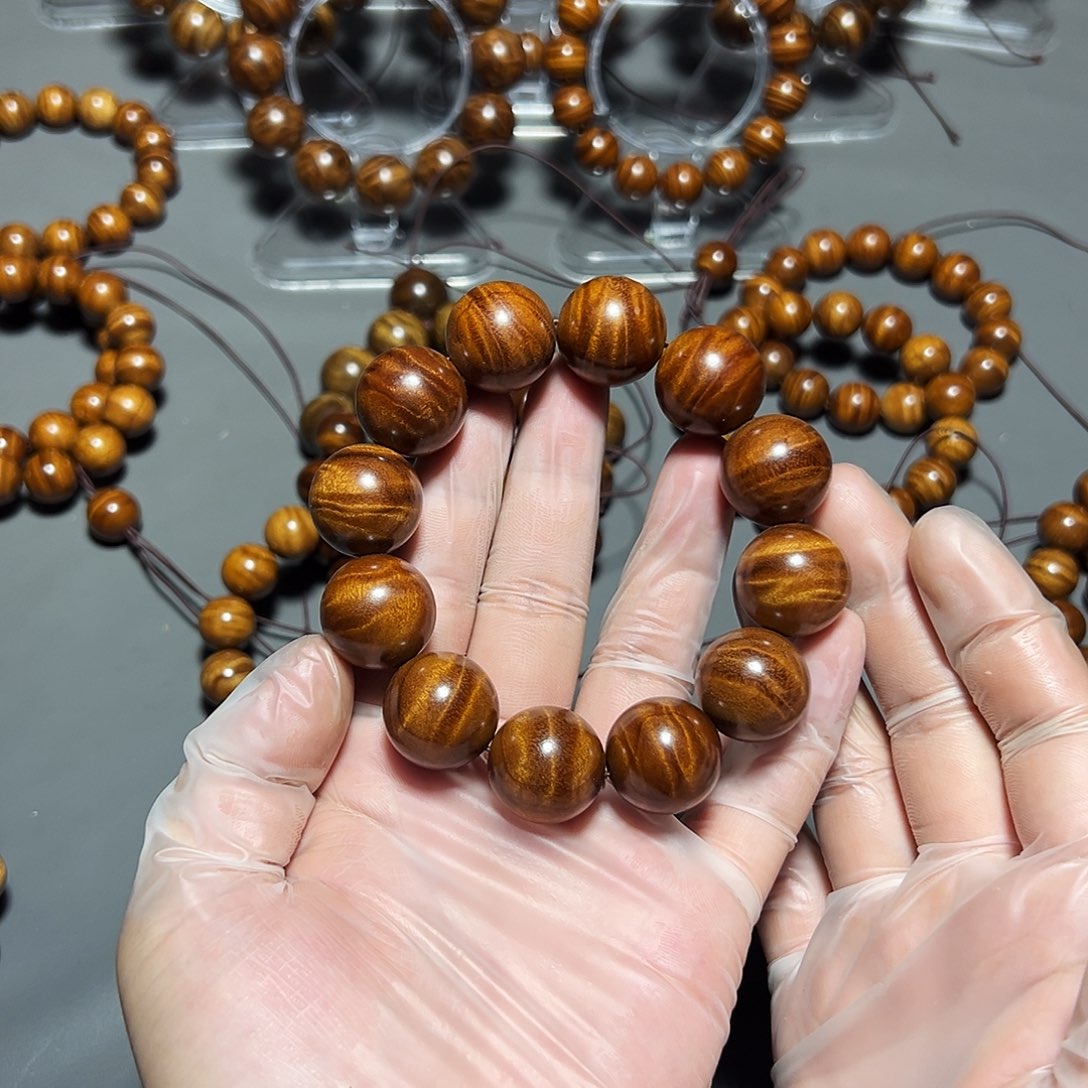 金丝楠金丝楠小叶桢楠2.0闪龙