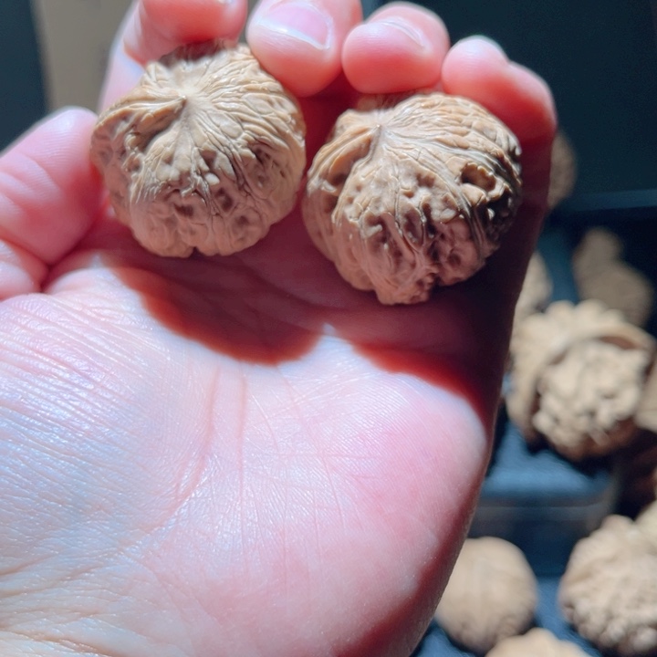 ****王文玩核桃吊坠文玩
