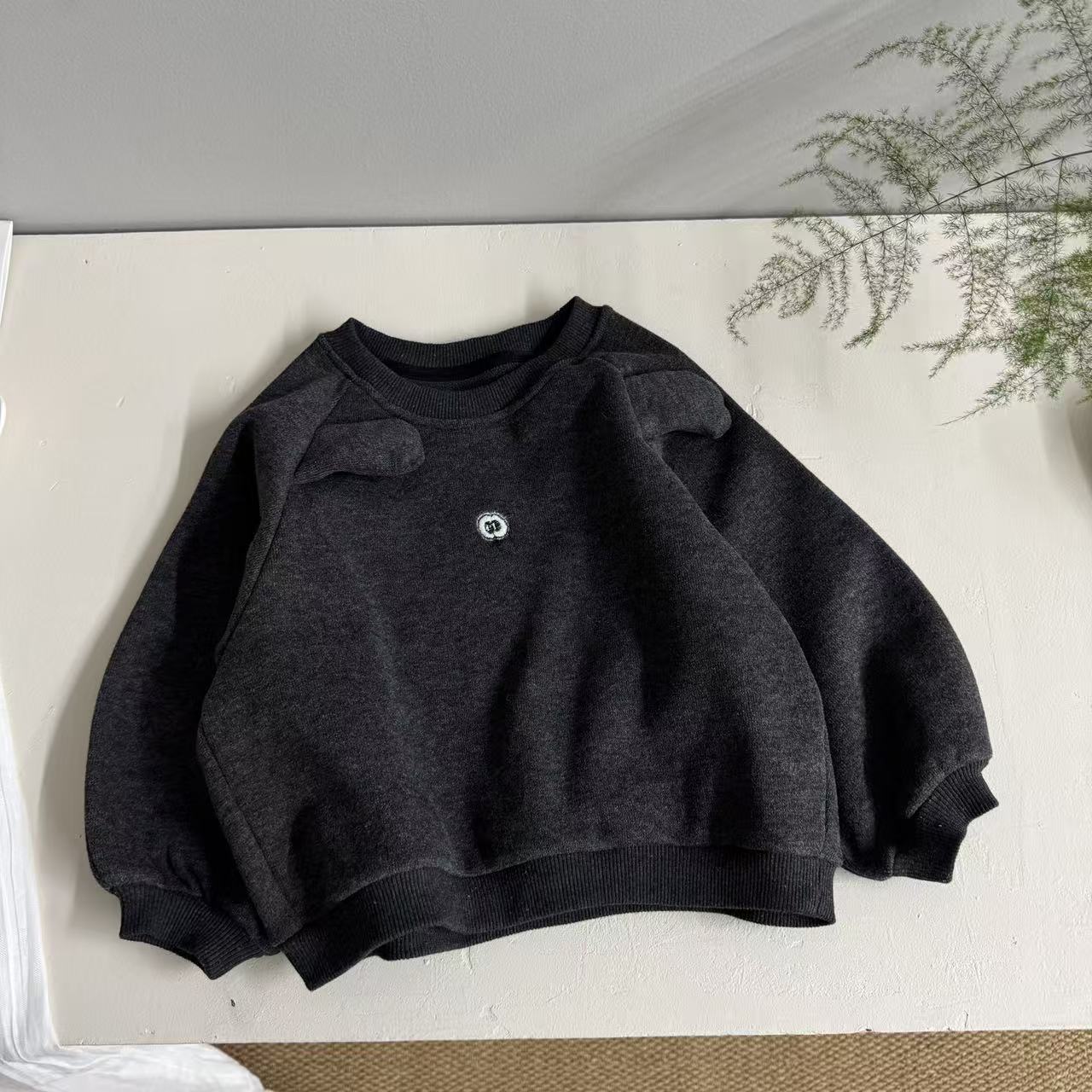 2025年秋冬新款儿童加绒百搭韩版宽松时尚31169加绒卫衣