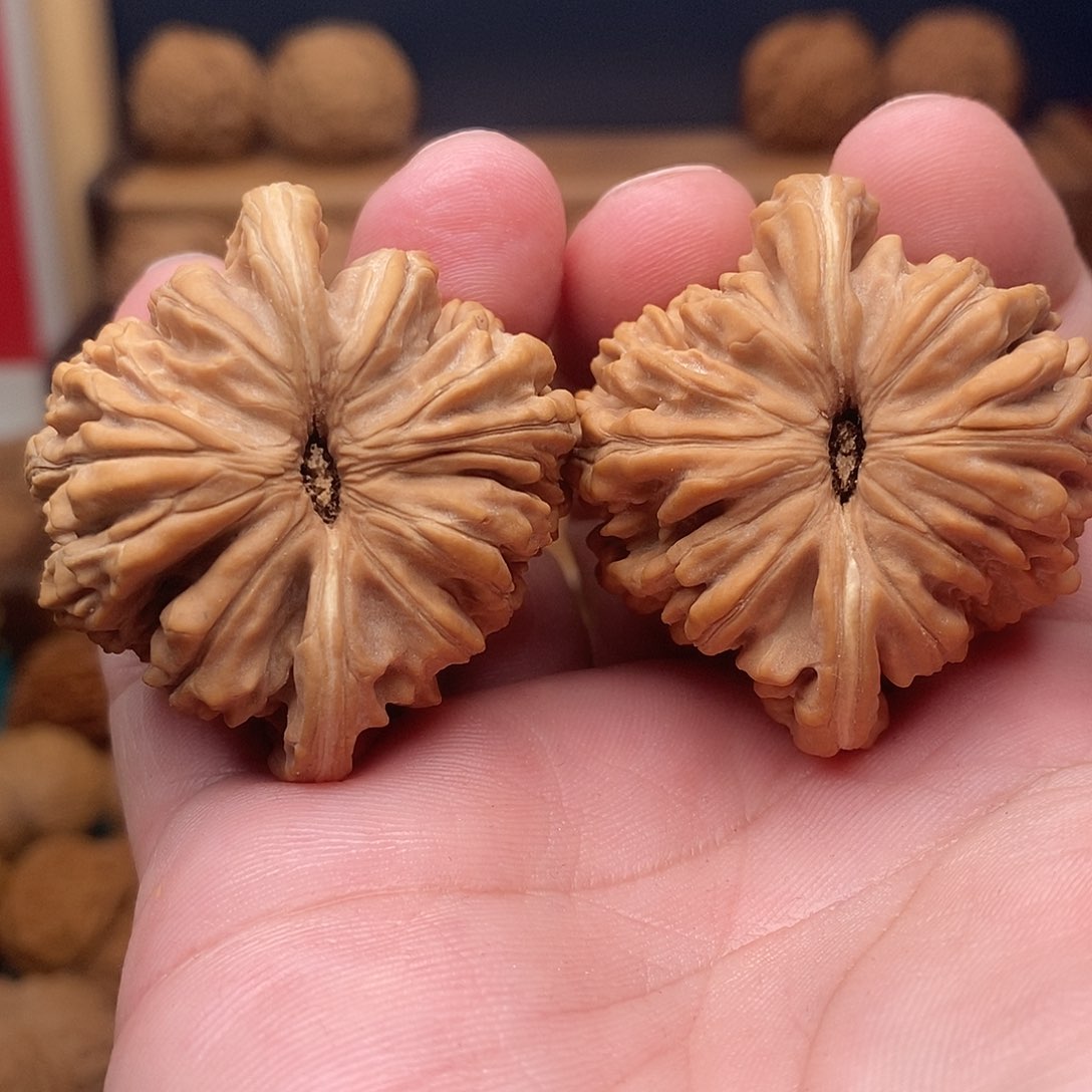 文玩核桃把件丅****e43楼子全品