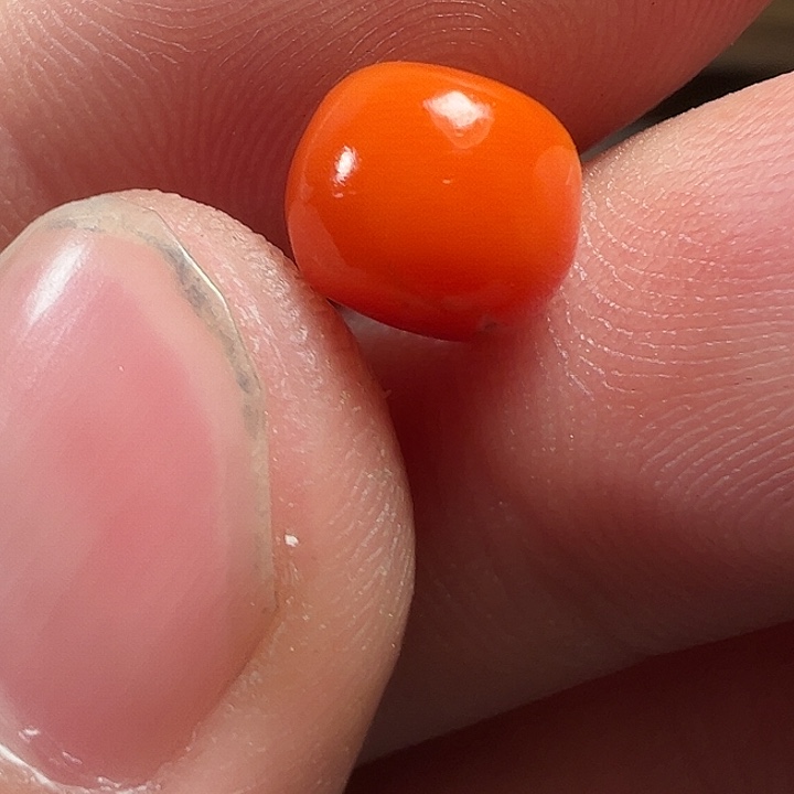 我们都是在这里看到的哈