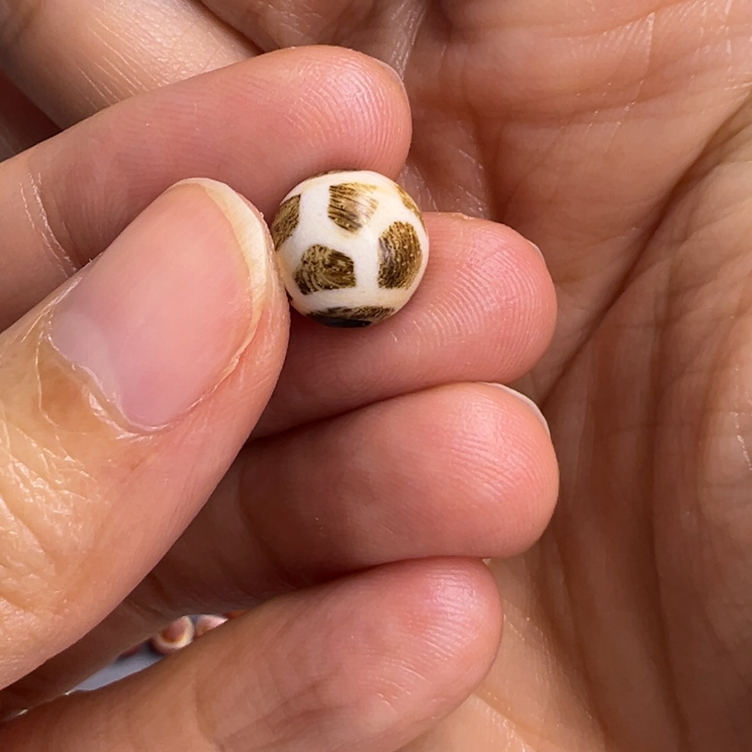 直发专拍专用链接