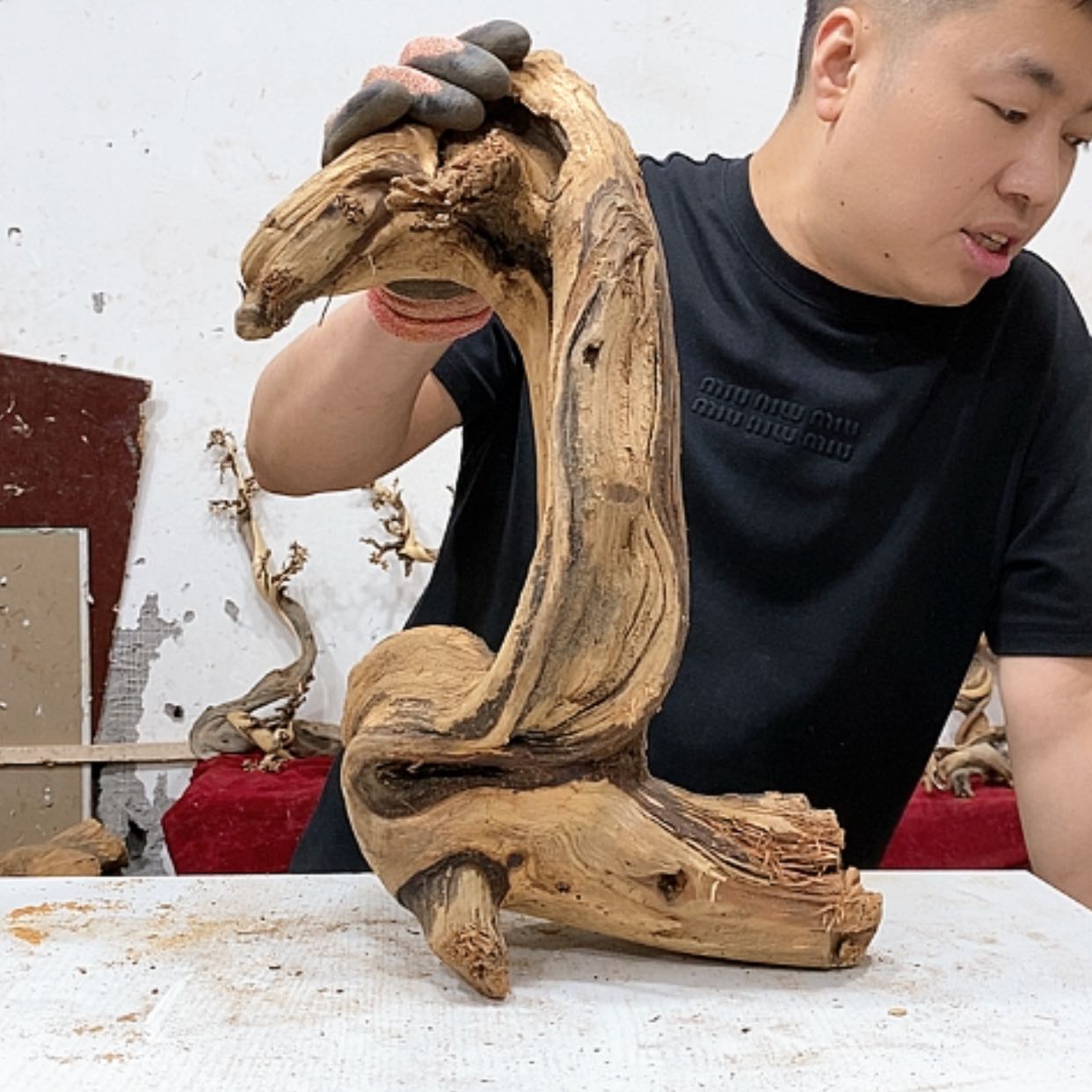 【闪购商品】柏木知**乐我们都是好孩子