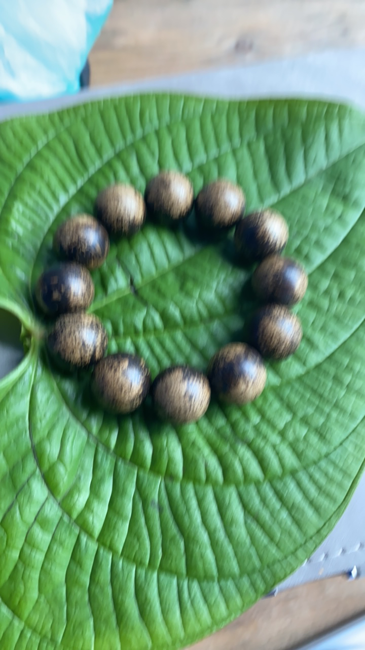 【阿雅专属南北】1024菇53g起