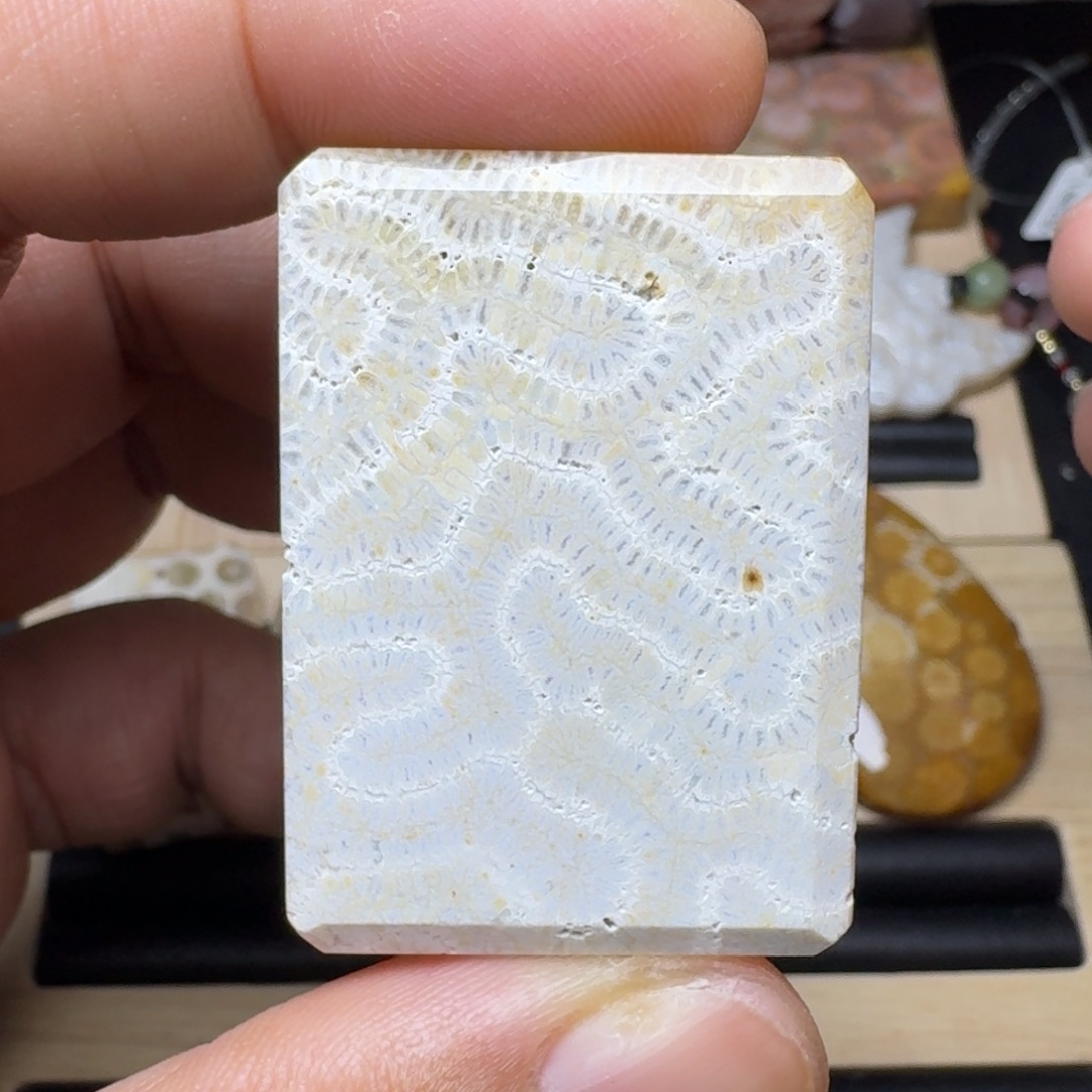 未镶嵌纯天然色有机玉石保真色硅化玉