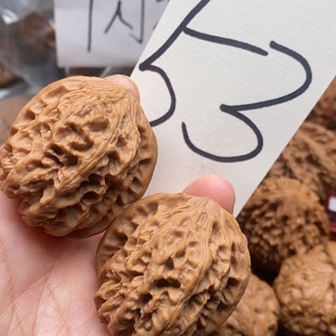 桃核吊坠39全品野牛对歪