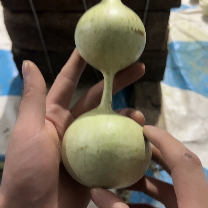 呢***。三庭文玩葫芦摆件
