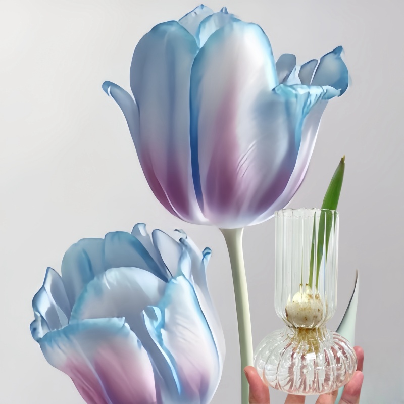 春夏秋冬花卉四季种植郁金香种球成活五度球盆栽原生水培懒人耐寒