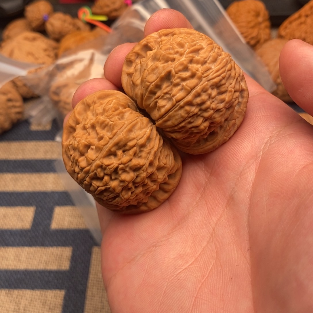 尖部有修卡姿兰大眼睛