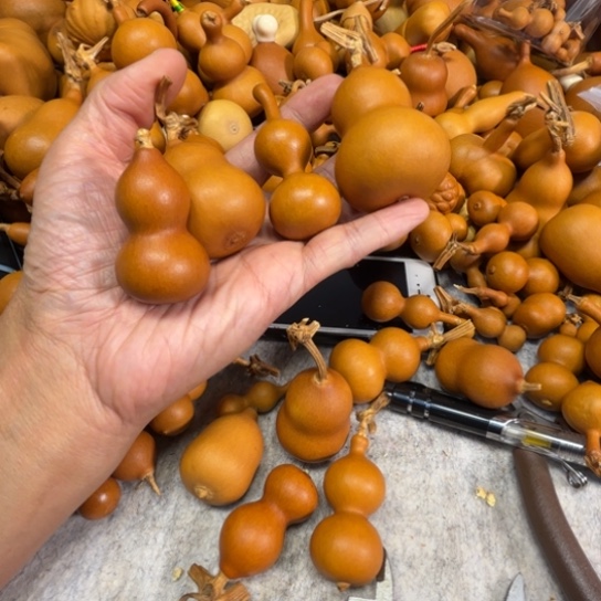 糖****小兔子的小兔子的四把葫芦四把葫芦