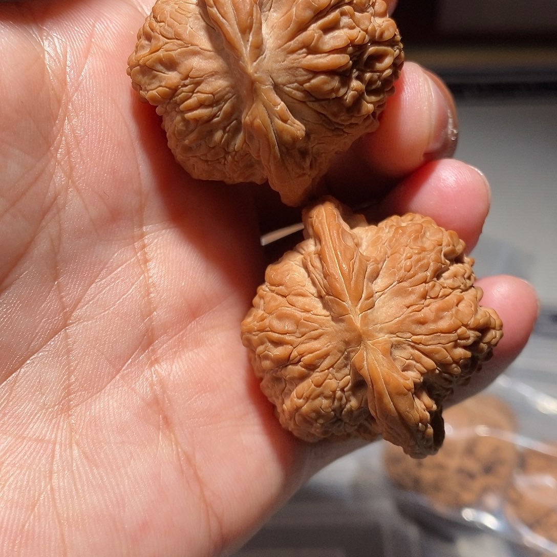 文玩核桃把件001血麒麟41尺全品