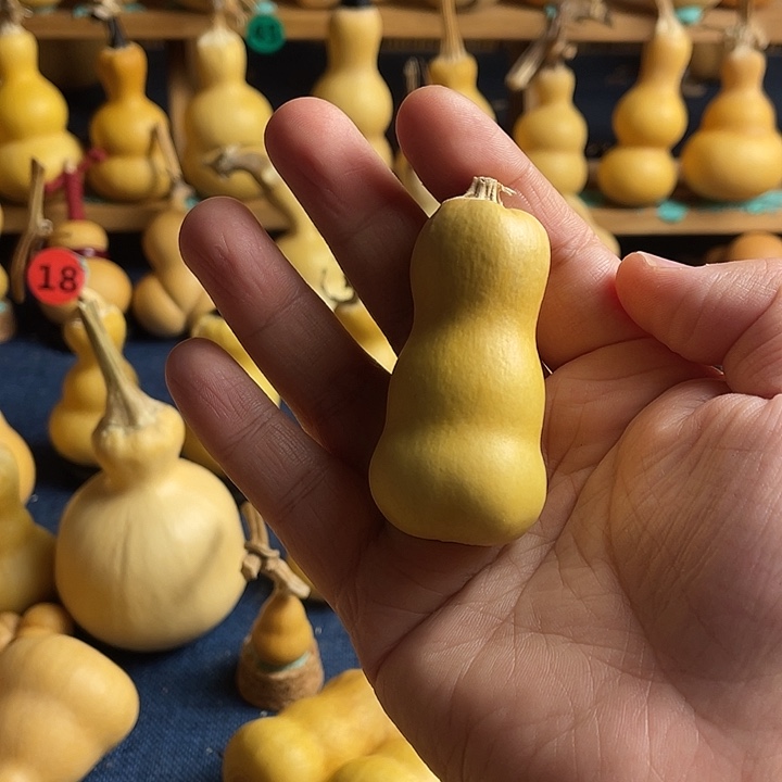 雨***你1111111111111111111111