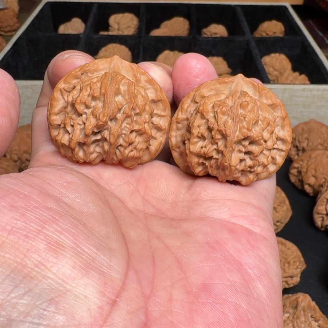 文玩核桃把件紫金冠 尺寸42