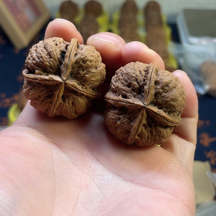 文玩核桃把件4蚂蚁纹四棱37