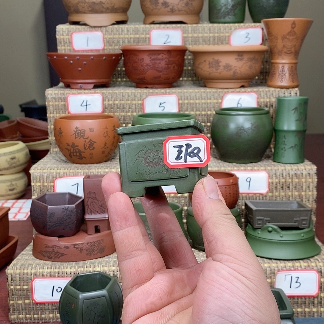 紫砂花盆北**龙我在等他