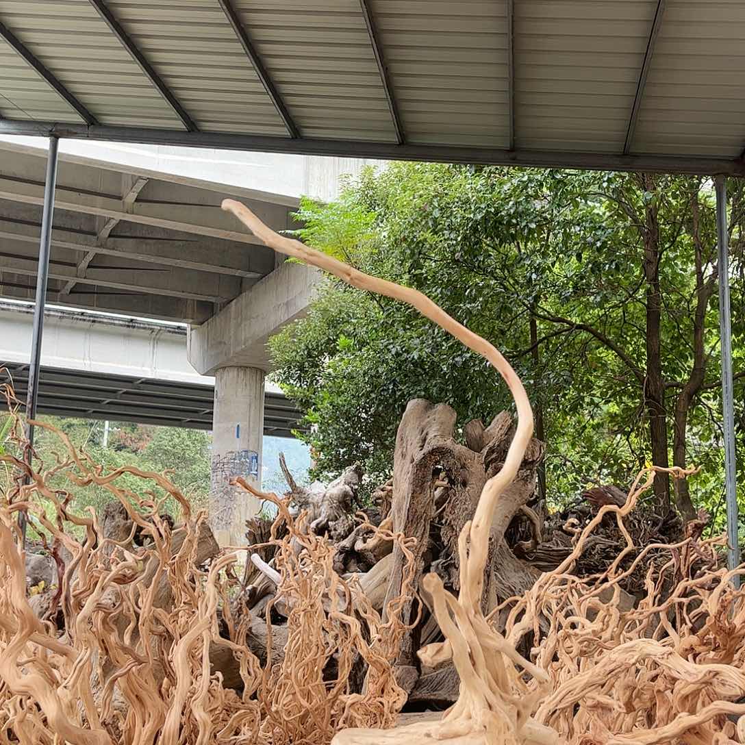 小***包木我的小姐姐们都是我的小可爱可以理解