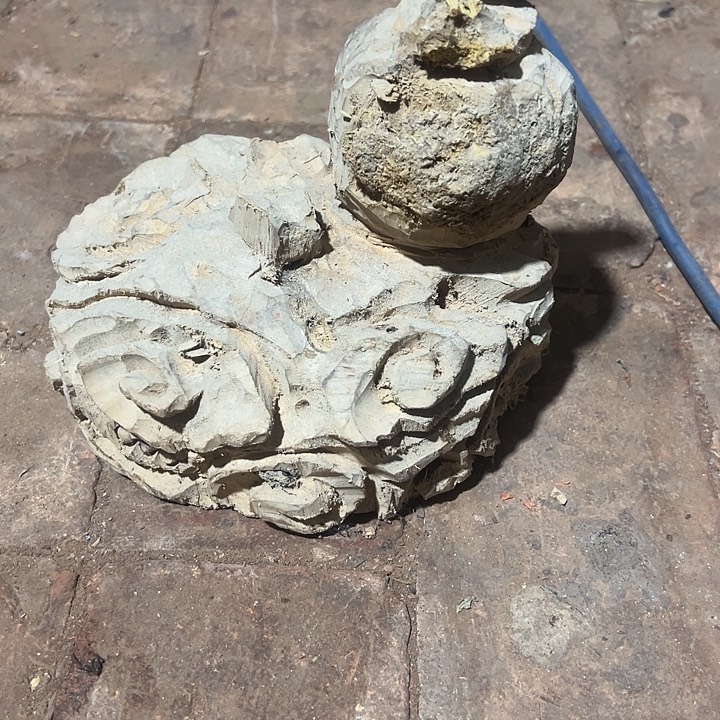 香榧木88888888888888