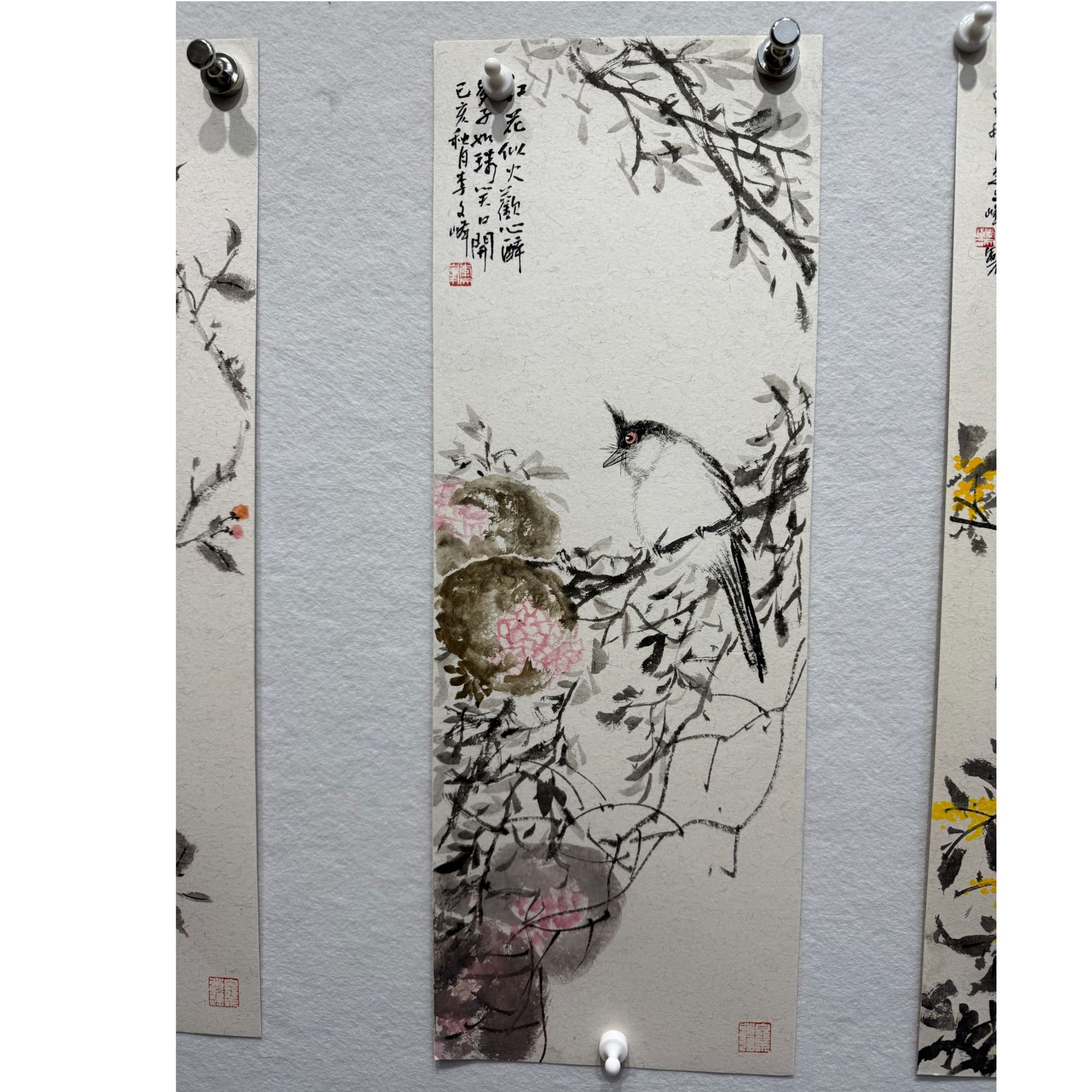 四尺四开-石榴花鸟-李老师作品